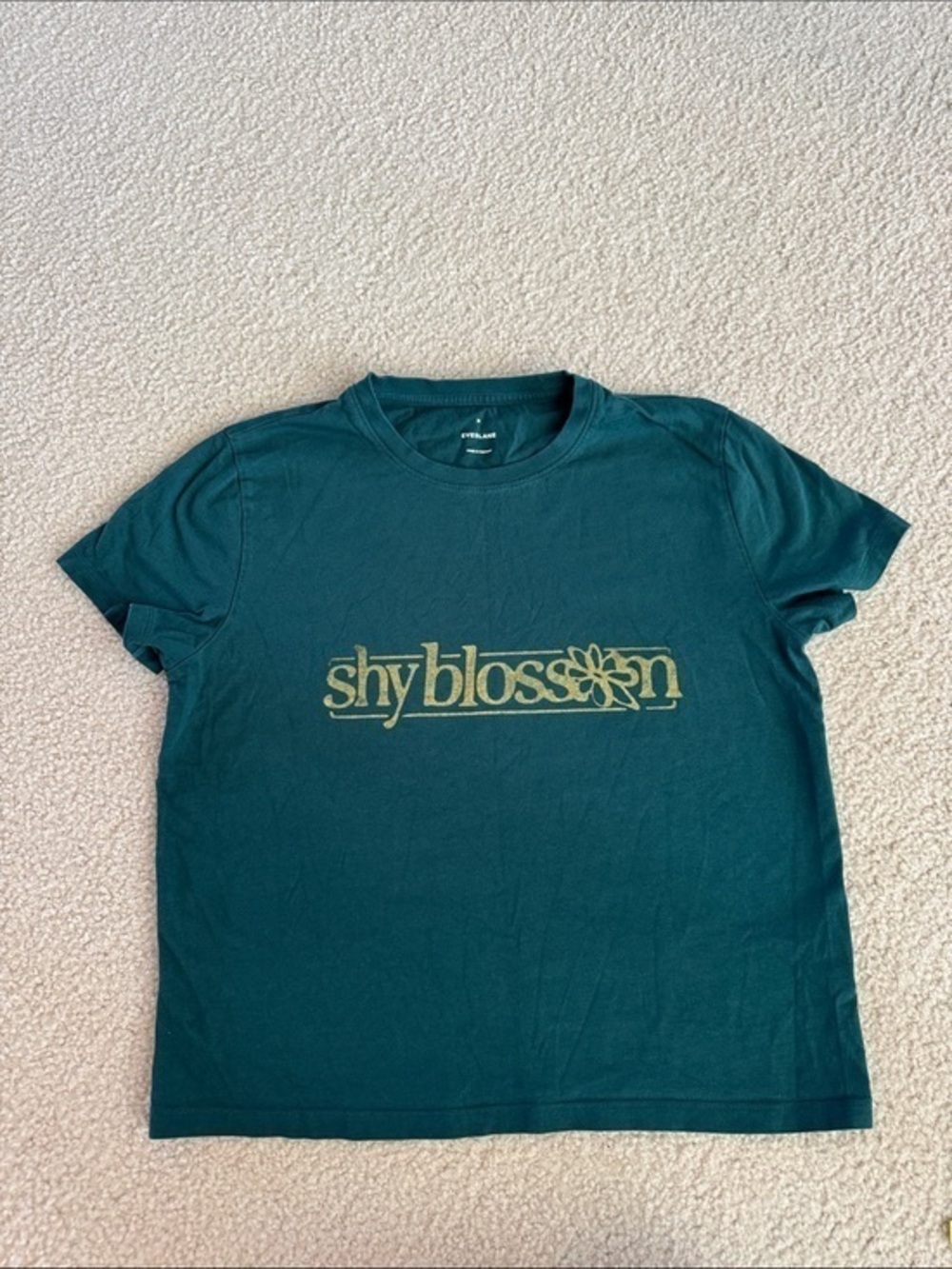 Everlane Teal Green Cotton Crewneck T Shirt M